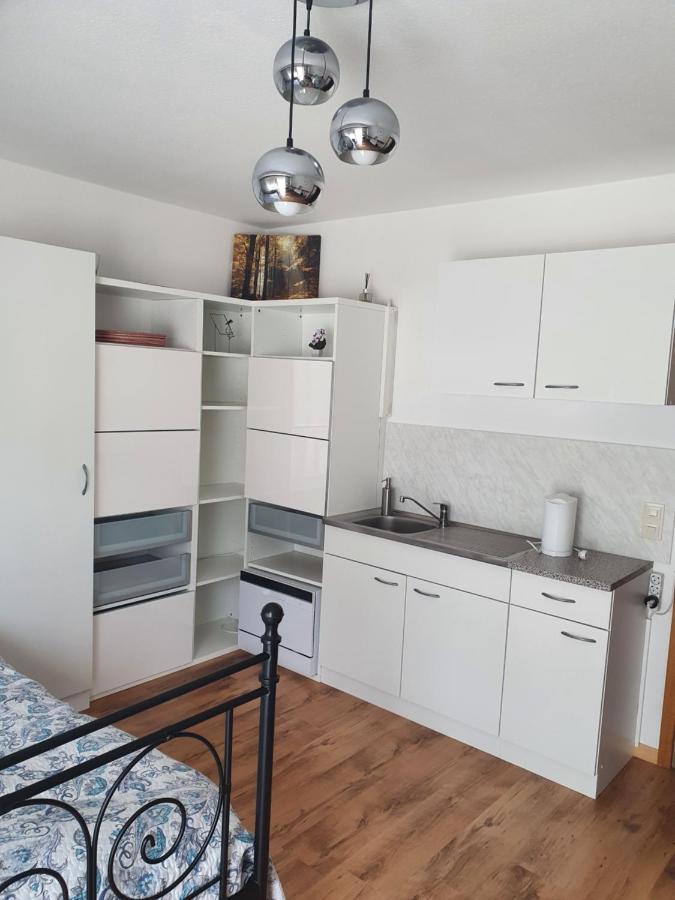 Haus Am Scheibenfelsen Lägenhet Sankt Blasien Exteriör bild