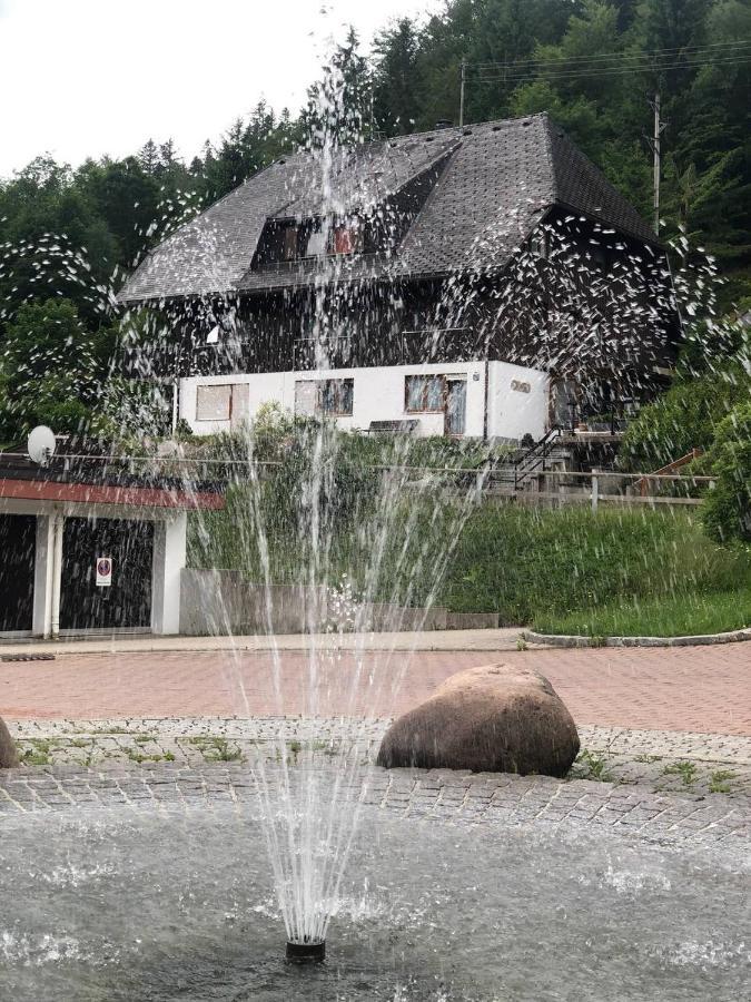 Haus Am Scheibenfelsen Lägenhet Sankt Blasien Exteriör bild