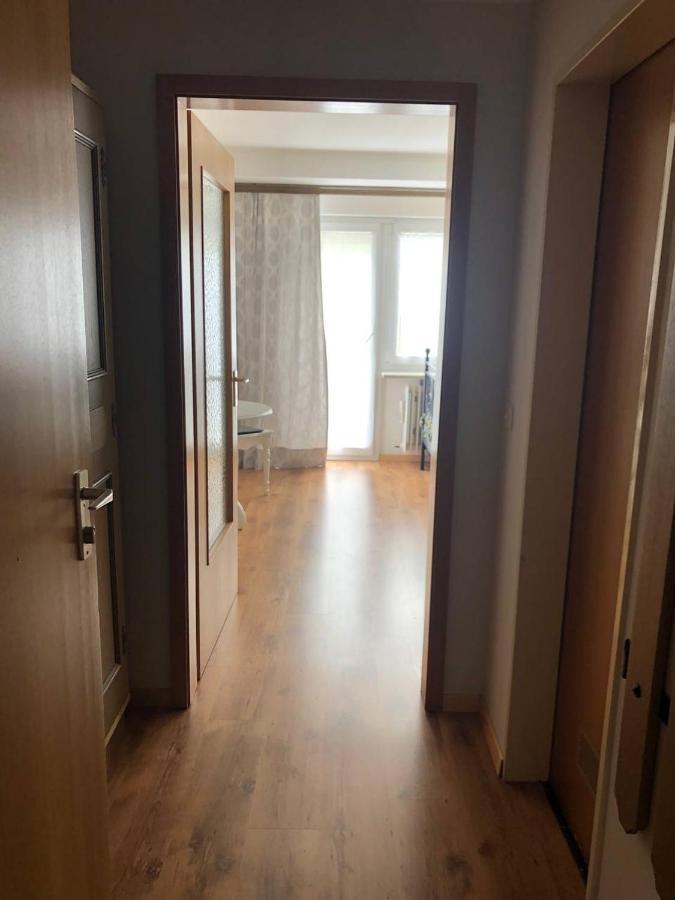 Haus Am Scheibenfelsen Lägenhet Sankt Blasien Exteriör bild