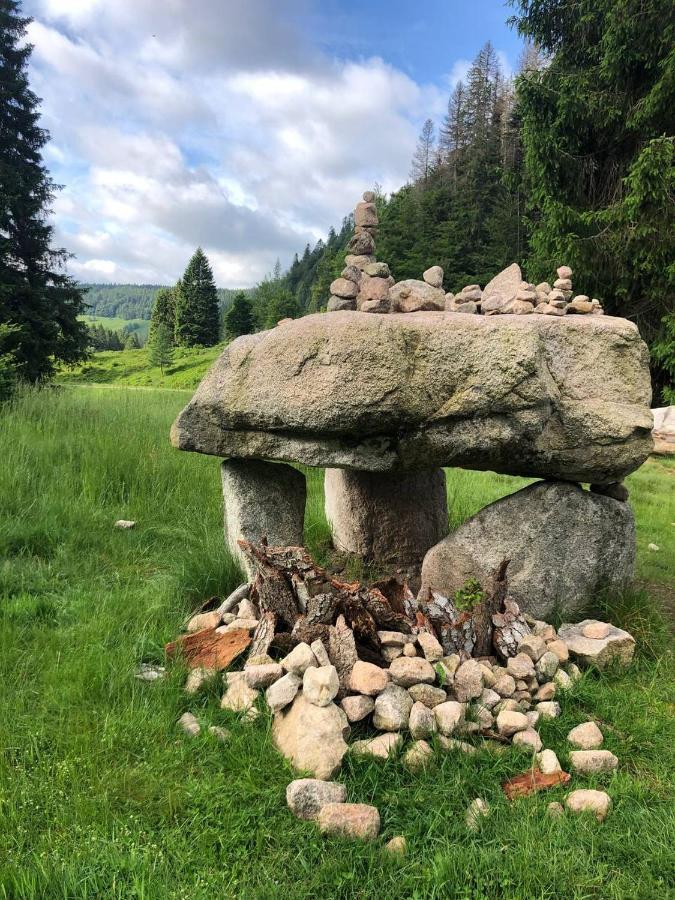 Haus Am Scheibenfelsen Lägenhet Sankt Blasien Exteriör bild