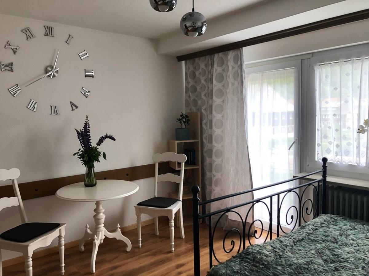 Haus Am Scheibenfelsen Lägenhet Sankt Blasien Exteriör bild