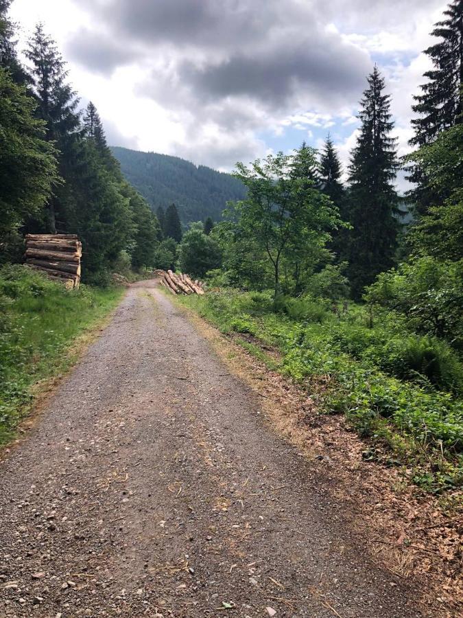 Haus Am Scheibenfelsen Lägenhet Sankt Blasien Exteriör bild