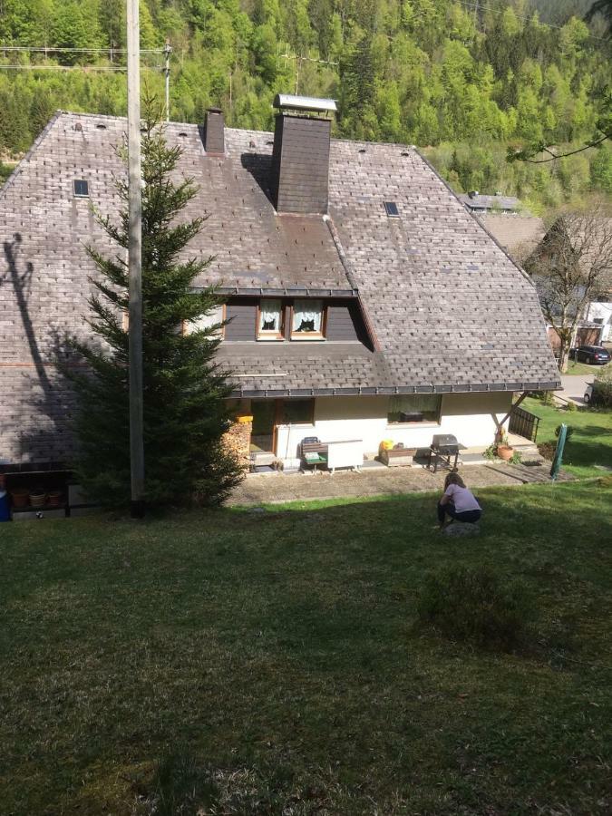 Haus Am Scheibenfelsen Lägenhet Sankt Blasien Exteriör bild
