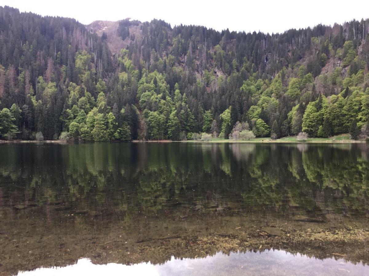 Haus Am Scheibenfelsen Lägenhet Sankt Blasien Exteriör bild