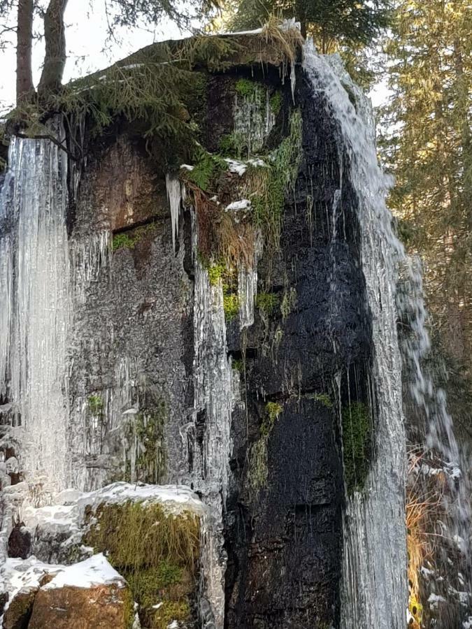 Haus Am Scheibenfelsen Lägenhet Sankt Blasien Exteriör bild